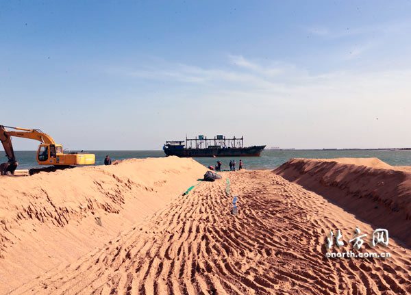 天津全运会沙排比赛,天津全运会沙排参赛