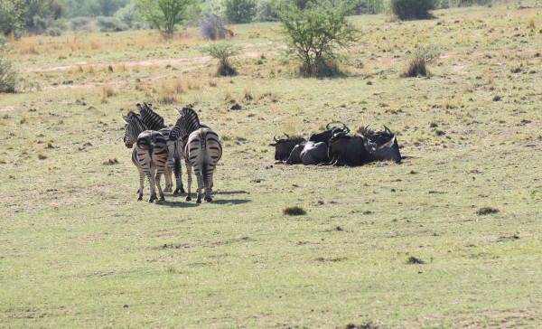 彩虹国家南非,彩虹国度南非之旅