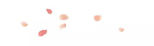 小学课文数星星的孩子插图,二年级数星星的孩子课文原文