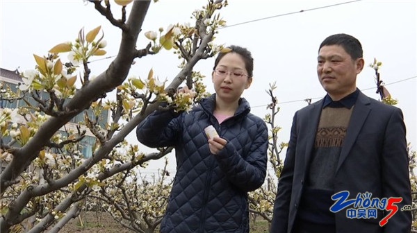 互联网双创流程,互联网双创平台有哪些企业