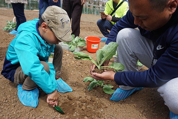 周末周边游：品味密云春景体验休闲农庄