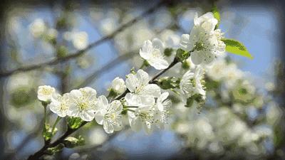 公共wifi连不上一直刷新,公共wifi连不上怎么办