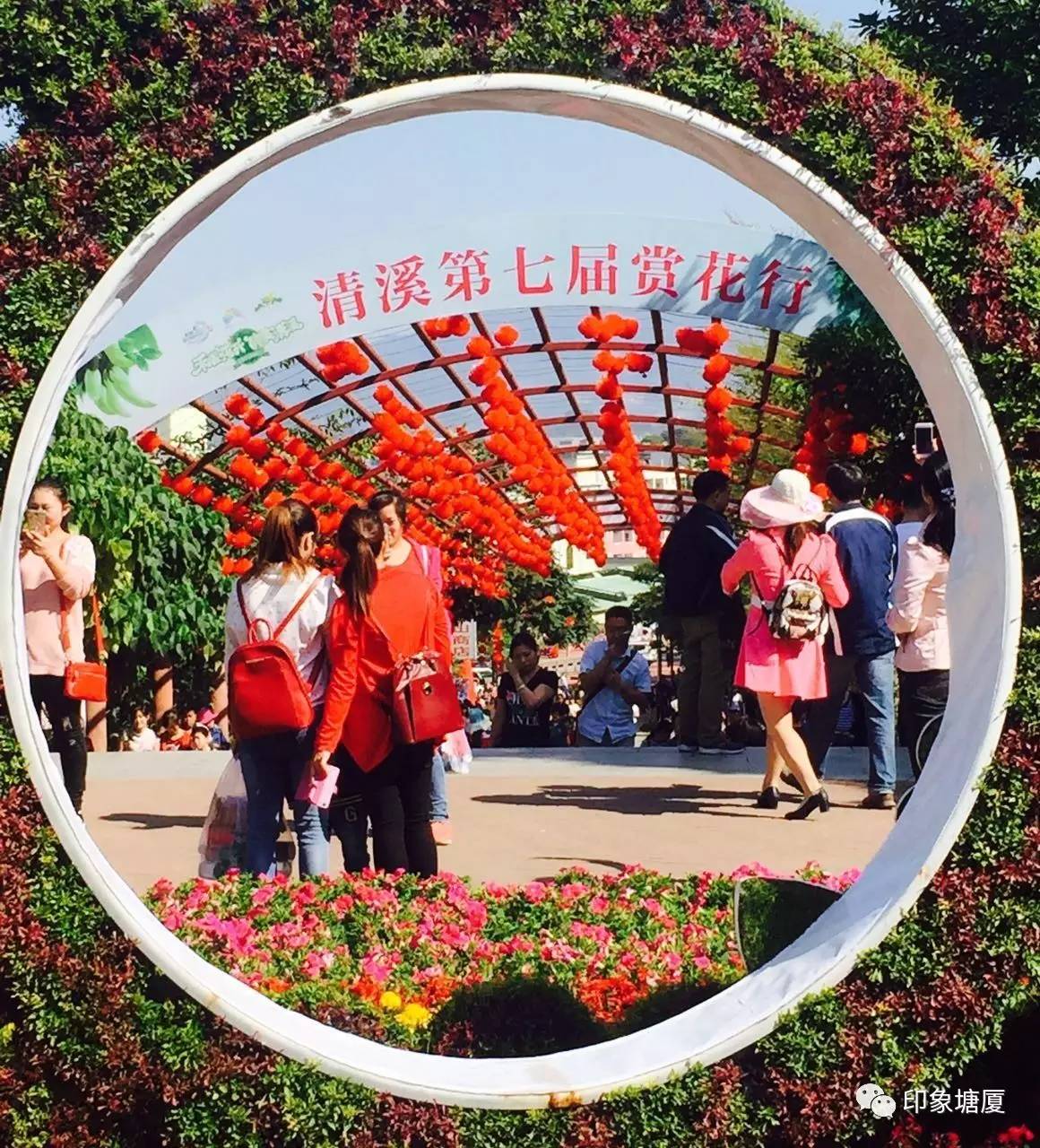 塘厦隐藏的美景,广东塘厦隐藏好玩地方