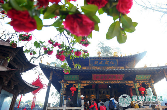 金殿盘点,金殿都有哪些