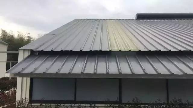 网易丁磊的猪怎么样了,网易养猪丁磊现状