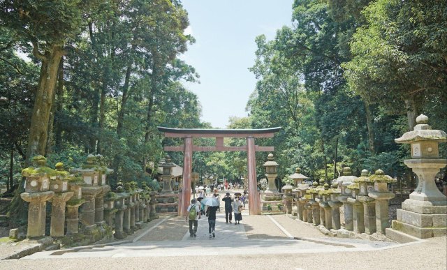 念念不忘必有回响日语,念念不忘必有回响再次相见