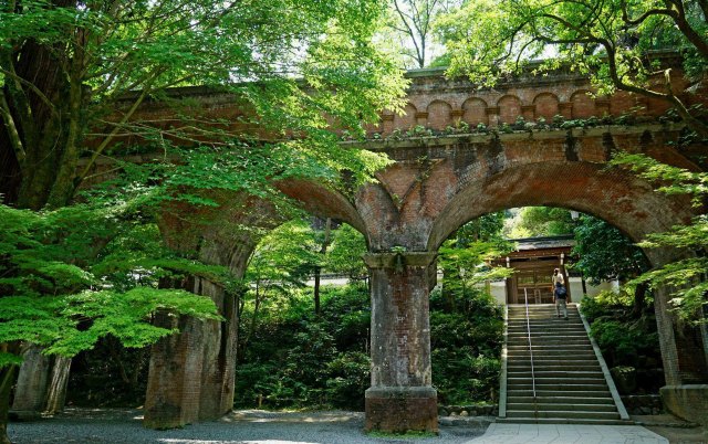 念念不忘必有回响日语,念念不忘必有回响再次相见