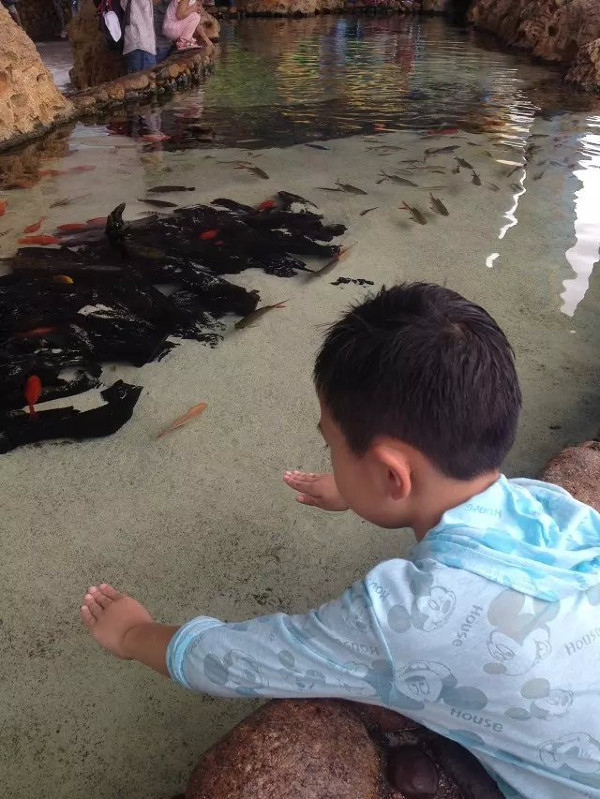 珠海长隆海洋王国攻略2天亲子游,珠海长隆海洋王国旅游亲子攻略