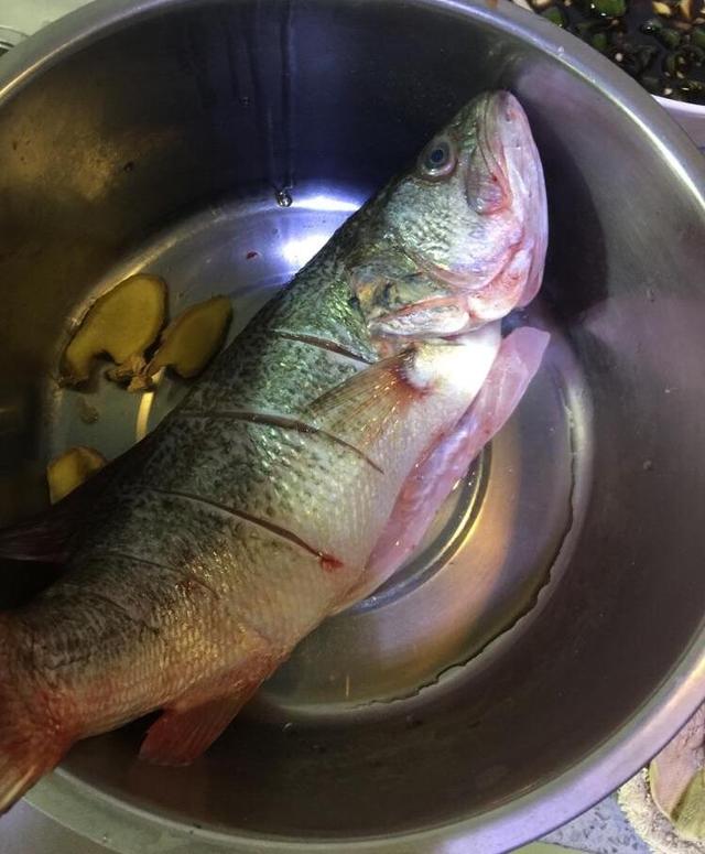 怎样煎鱼不粘锅又不烂呢,怎么煎鱼不粘不烂