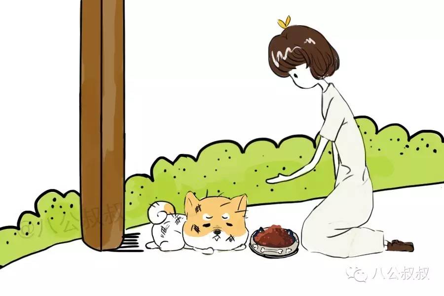 一些常识性的疾病防范错误,狗狗容易得的3种病