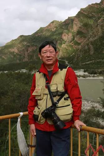 梅花香自苦寒来作文,梅花香自苦寒来演讲稿