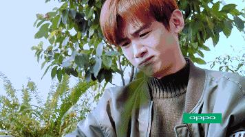 天了噜！王俊凯怕虫子，张艺兴有尖嘴恐惧症？男星“软肋”也很多