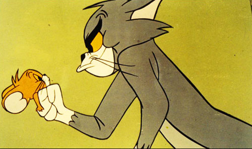 精简了一本书的精油居家应用妙招