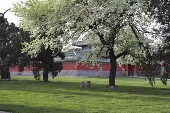 佳能77d和800d拍视频哪款相机好,77d和800d哪个值得入手