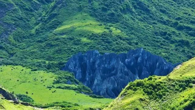 四川不可不去的十个景区,四川湿地风景区