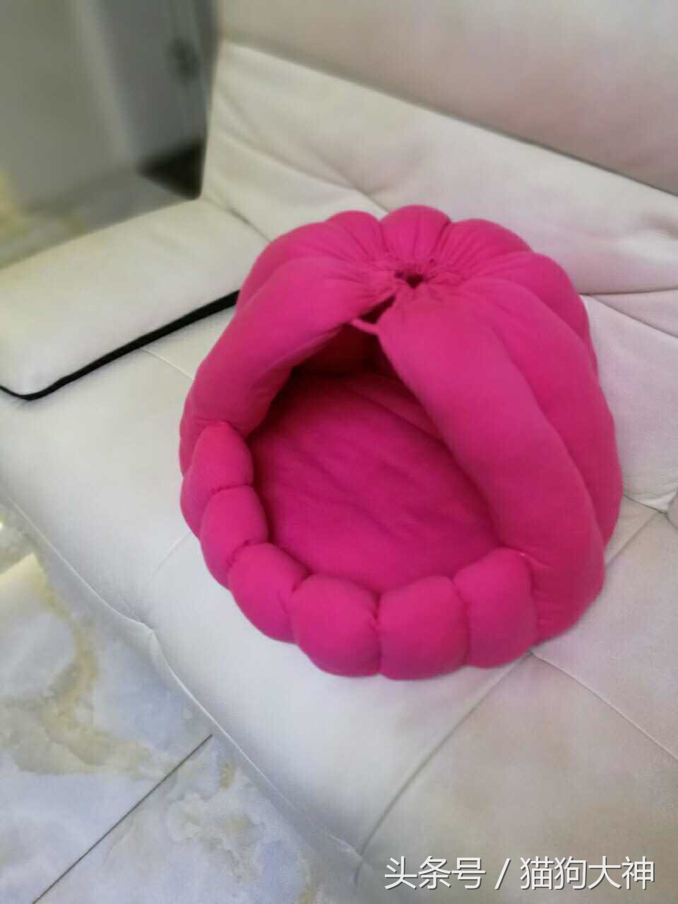 漂亮的狗窝怎么做,漂亮的狗窝
