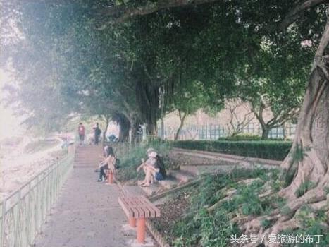 香港旅游攻略必去十大景点,香港西九龙下车后旅游攻略