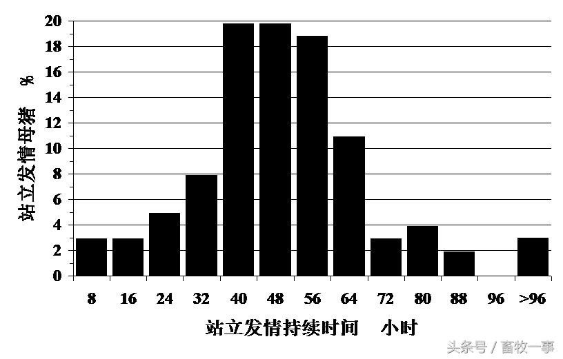 养猪怎样提高人工授精的成功率,养猪新模式猪舍建造