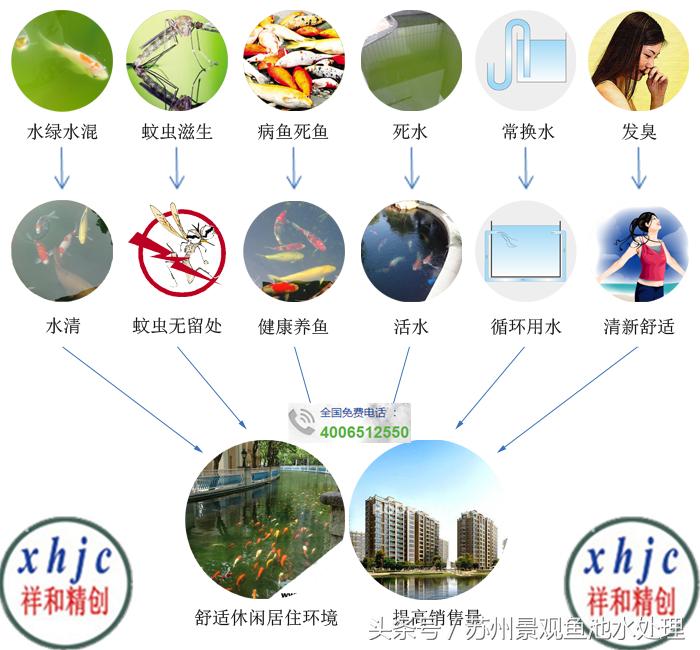 观赏鱼用药,观赏鱼鱼药的使用方法和注意事项