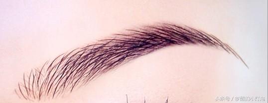 相术看人的智慧,相术看富贵