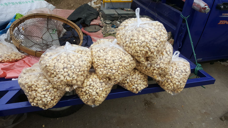 唐山市乐亭县大集,河北唐山乐亭大集