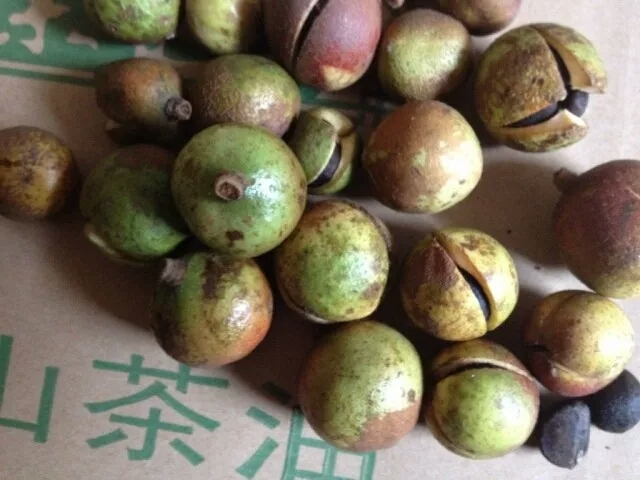 农村生活食用油,农村吃的便宜又好的食用油推荐