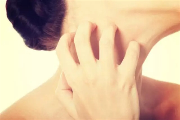 西红柿营养师,西红柿对胃不好的人能食用吗