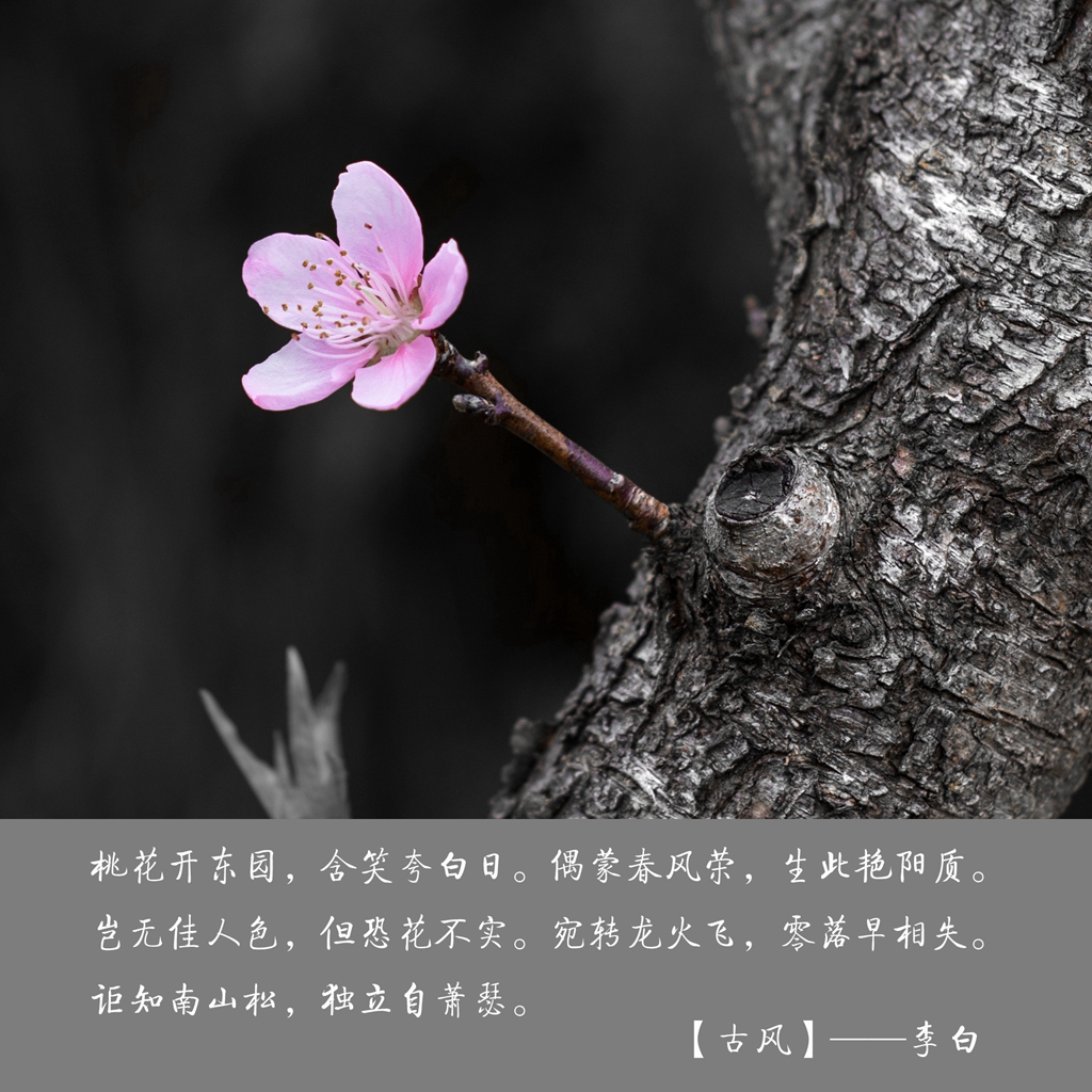 尼康85f1.8d夜景人像作品,尼康d5100501.8拍风景