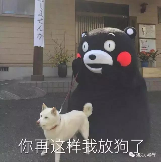 我们走——我们去看皮皮狗~