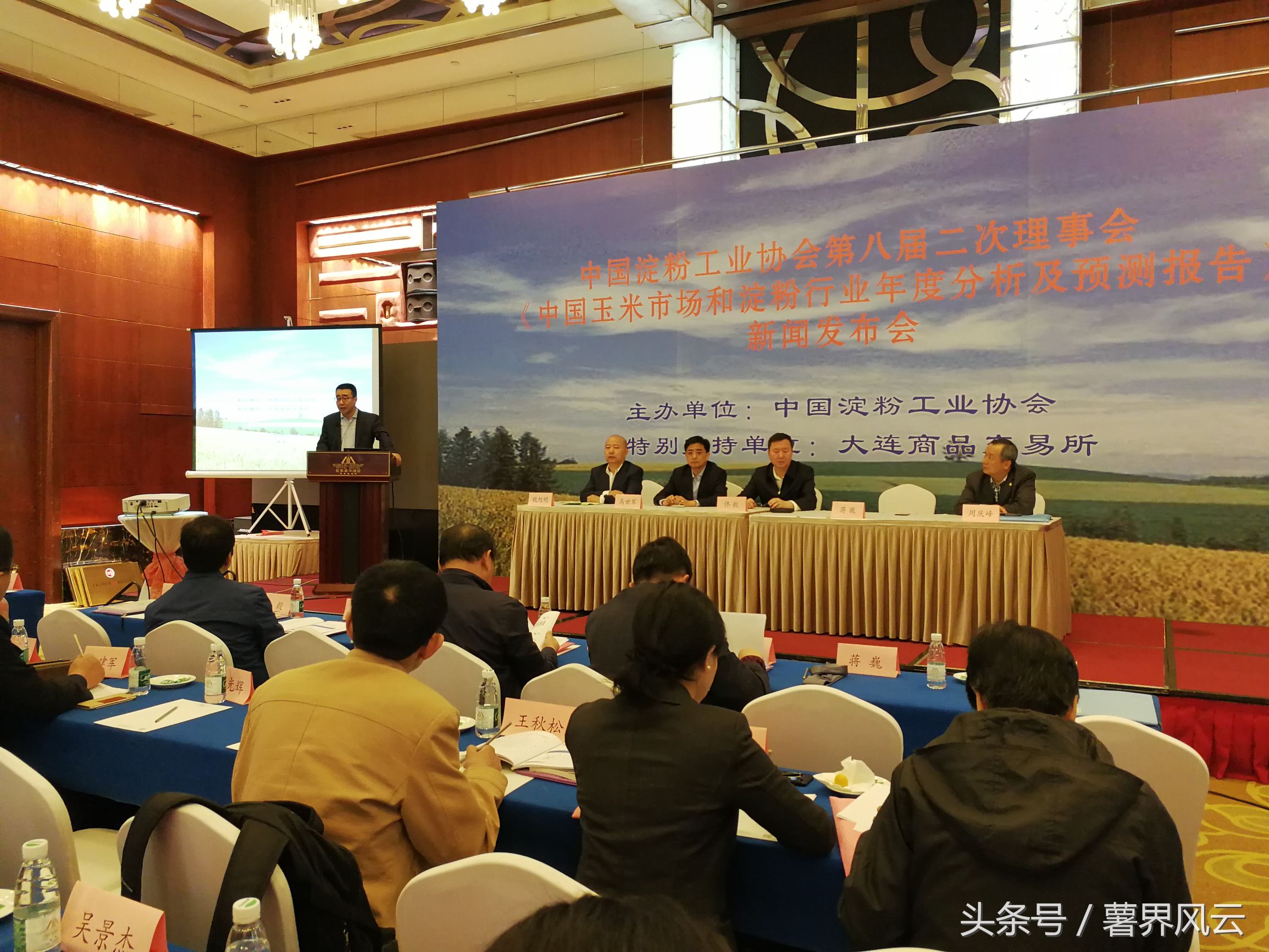 2024年玉米淀粉市场行情分析,玉米淀粉供需分析