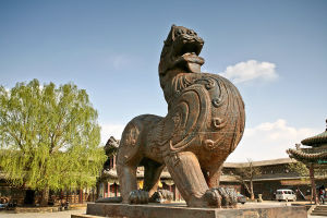 什么动物花心 (世界上最花心的动物是什么)