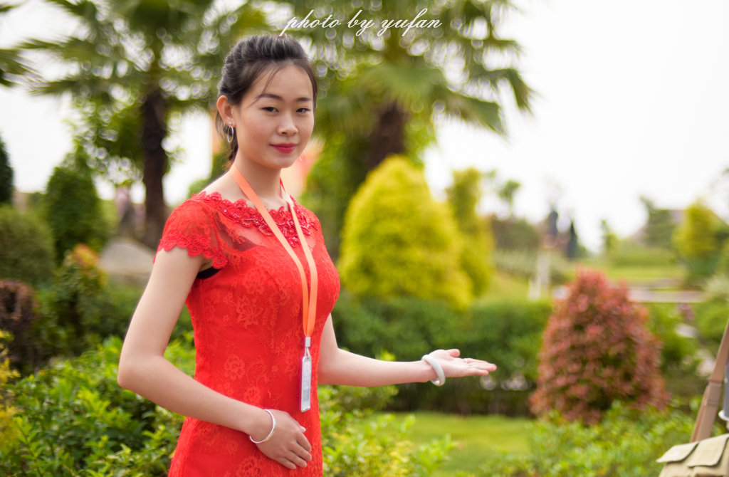 云端上的世外桃源，看看浇灌牛奶和土鸡蛋的有机乌龙茶长成啥样