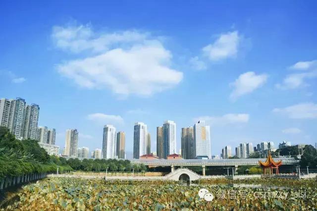 长沙民政职业学院哪个专业最好,长沙民政学院2022录取名单