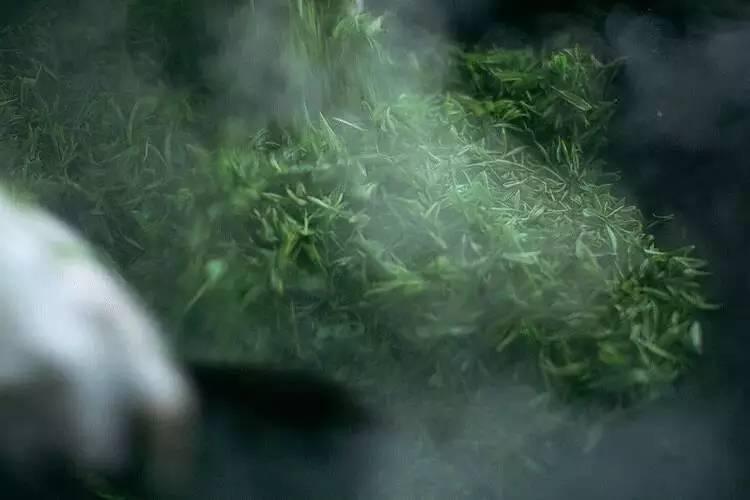 你有冷香丸吗?你还在谷雨过敏吗?