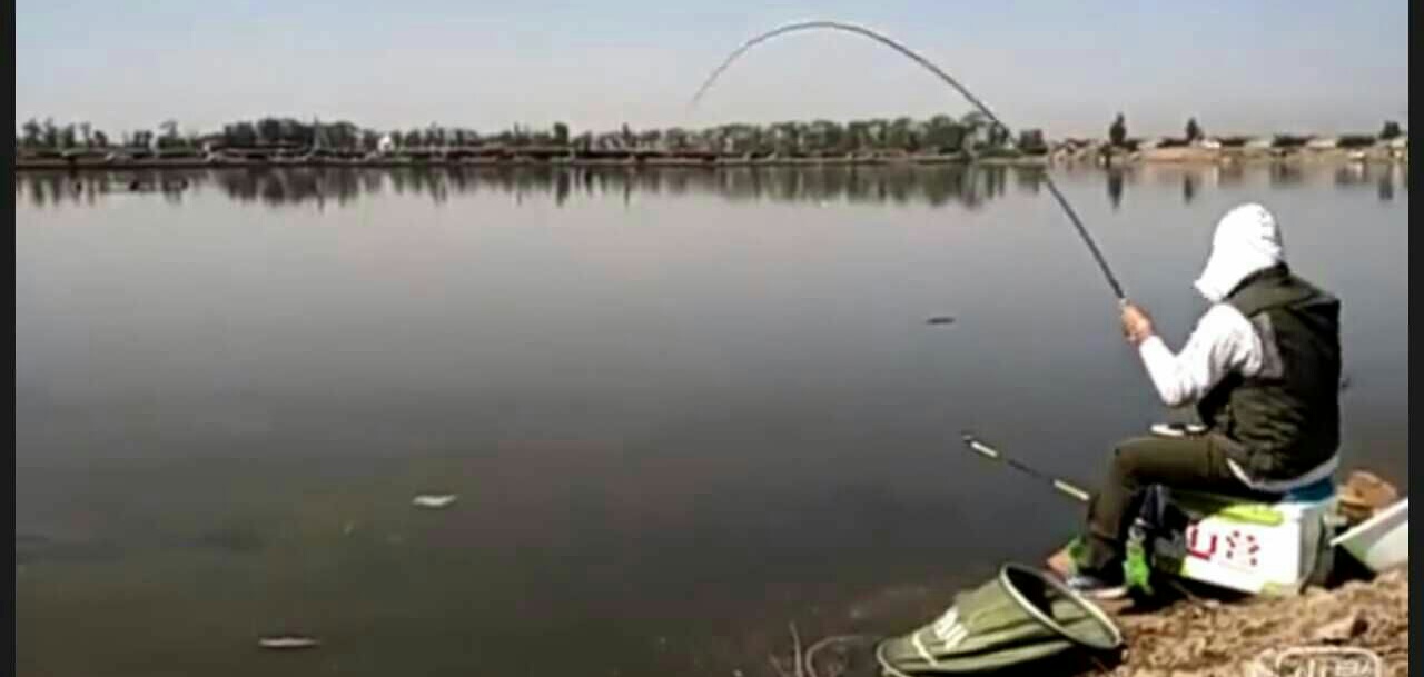 香精小药黑坑专用,揭秘黑坑小药都加了什么添加剂