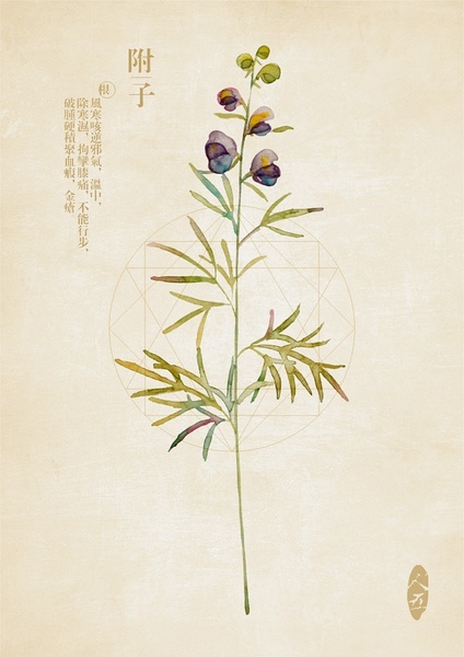 医话｜老中医李可：以霹雳手段，行回天之术