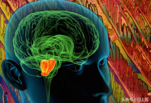 全方面了解帕金森疾病,从小帕金森怎样锻炼