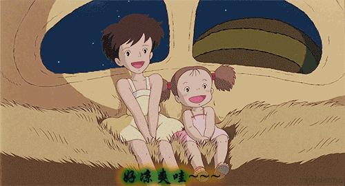 荷兰猪适宜的温度,荷兰猪夏天降温视频教学