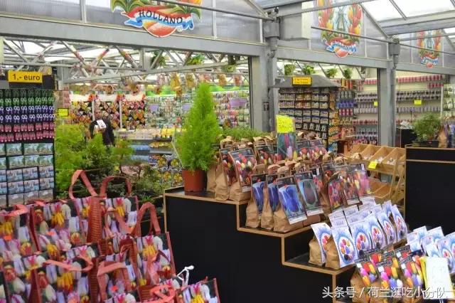 旅行必看｜它是全球唯一的水上鲜花市场，买花逛吃两不误！