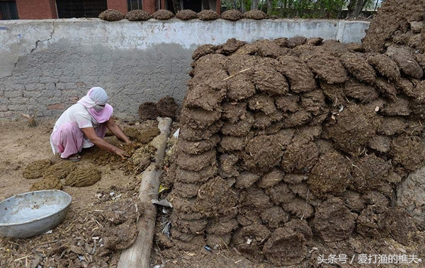农民种地不容易顺口溜,农村种地顺口溜希望朋友们喜欢