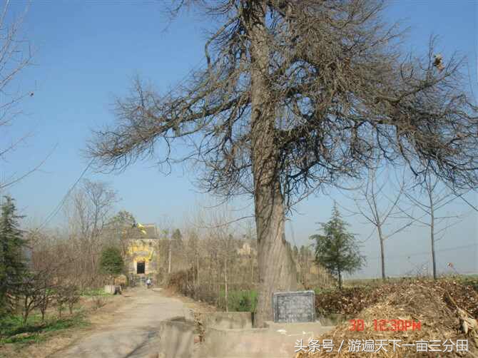 许昌s237省道,许昌曹魏古城线路图