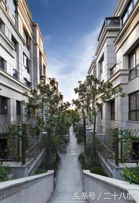 己舍|建筑系学霸表达爱的特殊方式