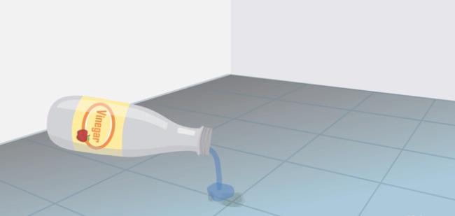 地上去除霉菌最有效的方法,家里容易长霉菌的地方