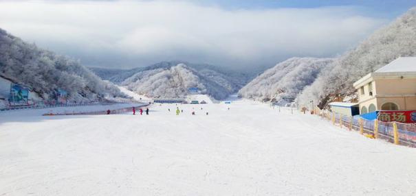 栾川竹海野生动物园研学日记,栾川暑期研学