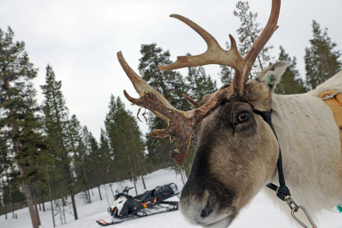 芬兰的奇幻之旅,芬兰旅游攻略
