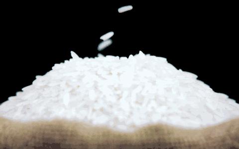 仔皇煲广式煲仔饭,煲仔皇煲仔饭正宗吗