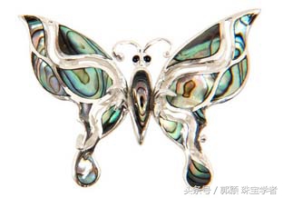 鲍鱼除了吃还代表什么,鲍鱼除了是食物还是什么东西