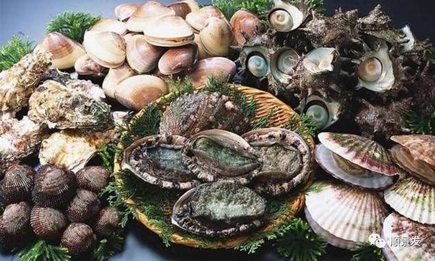 十种常见贝类海鲜图片,贝类海鲜全图
