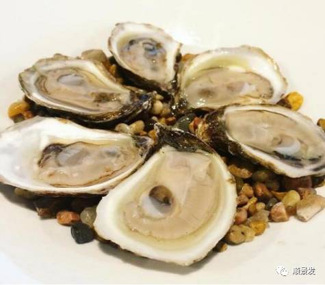 贝类海鲜的品种及图片大全,常见的贝类海鲜图片大全及名称