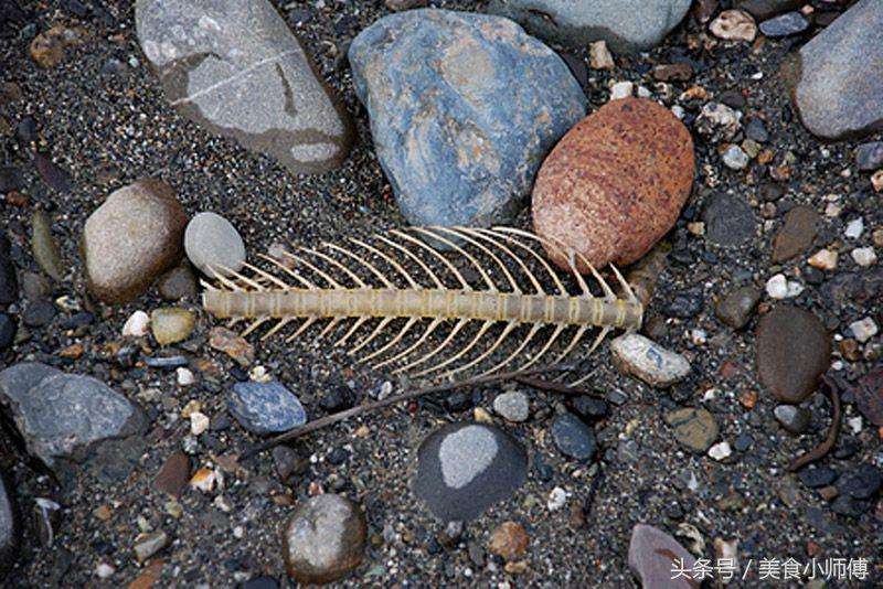 到海边不一定能吃到的地道海鲜,让你不到海边也能吃遍海鲜